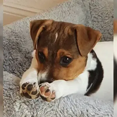 aus dem Lauenburger Land cover