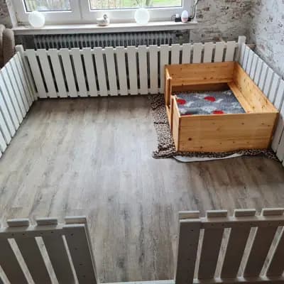 Bild aus "Beagle vom Ostenfeld" in Nordrhein-Westfalen, wo unsere Beagle-Hunde in einer liebevollen Umgebung aufwachsen.