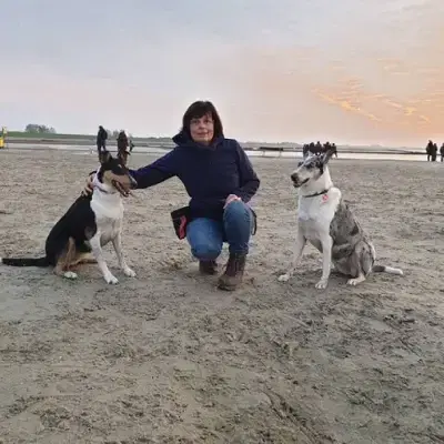 vom Langenhorster Wald cover