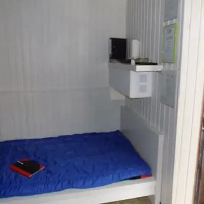 Bild aus Hundezucht vom Bagno in Nordrhein-Westfalen, wo unsere Prager Rattler-Hunde in einer liebevollen Umgebung aufwachsen.