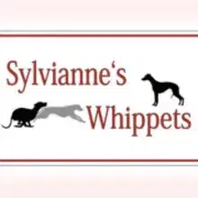 Sylvianne’s cover