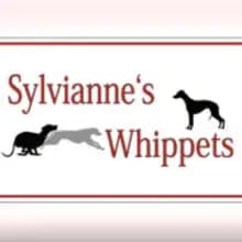Sylvianne’s cover