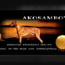 Akosambo’s cover