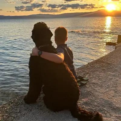 Galerie-Bild von Schwarzer russischer Terrier Welpen - Astra Fidelis FCI in Woiwodschaft Karpatenvorland, mit Eindrücken unserer Russischer Schwarzer Terrier-Zucht.