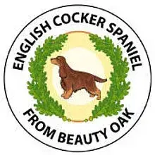 from Beauty Oak cover