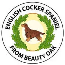 from Beauty Oak cover