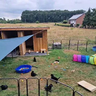 von der Hexentreppe cover