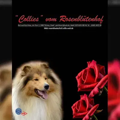 vom Rosenblütenhof cover