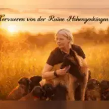 von der Ruine Hohengenkingen cover