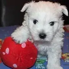 of Rainbow Palace cover