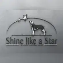 shine like a Star cover