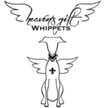 Heaven’s gift cover