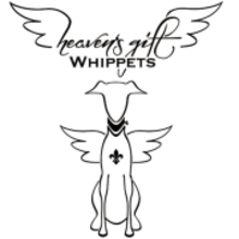 Heaven’s gift cover