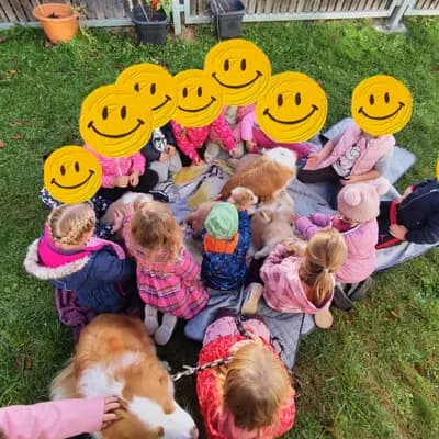 Bild aus Border Collie „von der großen Eiche” in Bayern, wo unsere Border Collie-Hunde in einer liebevollen Umgebung aufwachsen.