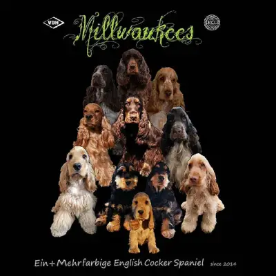 Millwaukee’s cover