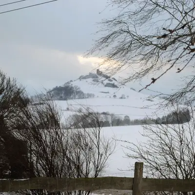 Bild aus Golden vom Desenberg  in Nordrhein-Westfalen, wo unsere Golden Retriever-Hunde in einer liebevollen Umgebung aufwachsen.