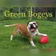 Green Bogeys cover