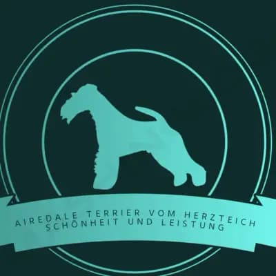 Airedale Terrier Zuchtstätte vom Herzteich 