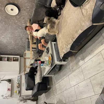 Bild aus Maltiboo vom Niederrhein  in Nordrhein-Westfalen, wo unsere Malteser-Hunde in einer liebevollen Umgebung aufwachsen.
