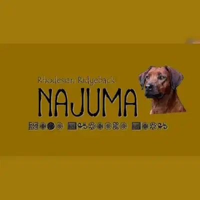 Najuma cover