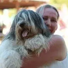 von der Preußengarde cover