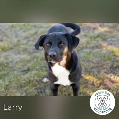 Larry