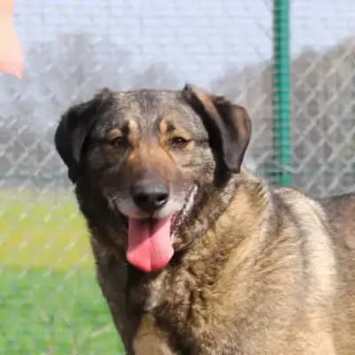 Jeska