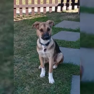 Lenny