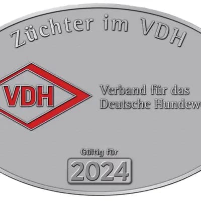 Galerie-Bild von Del'Neshin in Nordrhein-Westfalen, mit Eindrücken unserer Saluki-Zucht.