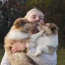 Medley of Flame cover