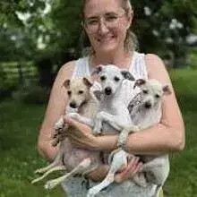 la storia del vento cover