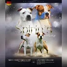 Spirin’s Amstaff cover