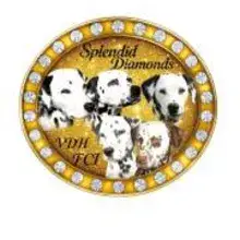 Splendid Diamonds cover