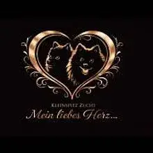 Mein liebes Herz cover