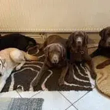 Amazing Dark Beauty cover