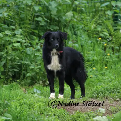 Bella