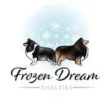 Frozen Dream cover