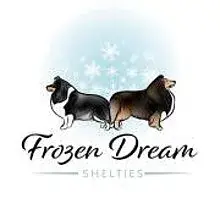 Frozen Dream cover
