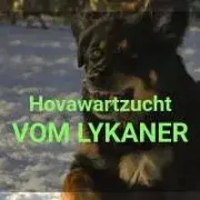 Vom Lykaner cover