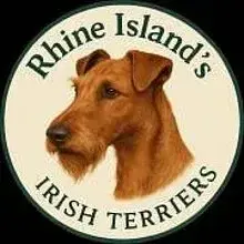 Rhine Island's cover