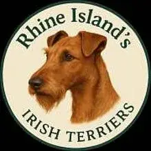 Rhine Island's cover