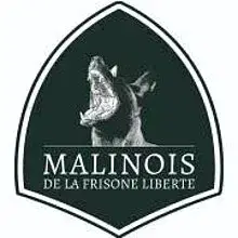 Malinois de la frisone liberte cover