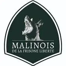 Malinois de la frisone liberte cover