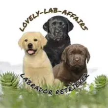from Lovely Labaffairs cover