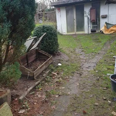 Bild aus Silke's Lebensträumchen in Schleswig-Holstein, wo unsere Pudel (Toy)-Hunde in einer liebevollen Umgebung aufwachsen.