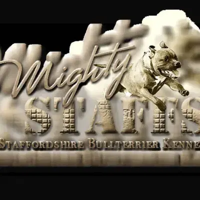 Mighty Staff’s cover