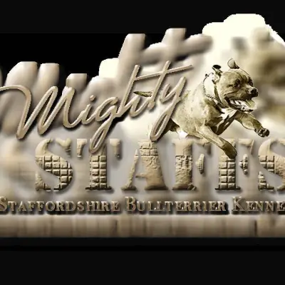 Mighty Staff’s cover