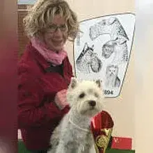 Flying Westies cover