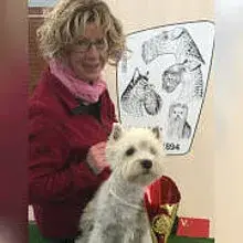 Flying Westies cover