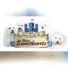 from Castle of white sweethearts cover